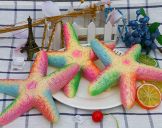Starfish Squishy Toy